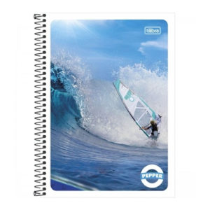 CADERNO 01X1 ESPIR C.FLEX 096F (12325) em Extrema MG