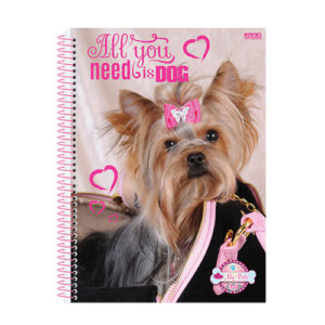 CADERNO 10X1 ESPIR C.DURA 200F SD FEMIN