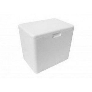 CAIXA DE ISOPOR  02 LTS em Extrema MG