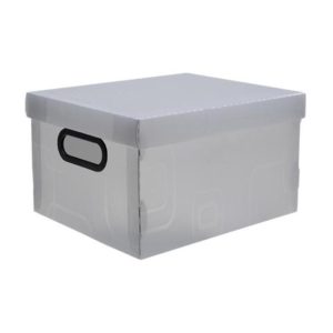 CAIXA ORGANIZ N.2-PEQUENOUE CR DELLO (56105) em Extrema MG