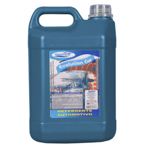 DETERGENTE AUTOMOTIVO VALÊNCIA (GL COM05LTS) em Extrema MG