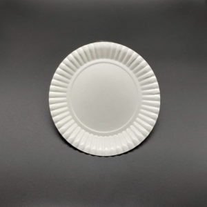 PRATO DE PAPELÃO BRANCO N.07 28,2CM COM100