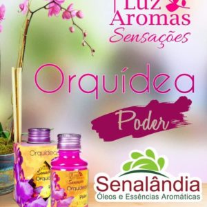 SENALÂNDIA - AROMATIZANTE LUZ E AROMAS ORQUIDEAS 100ML em Extrema MG